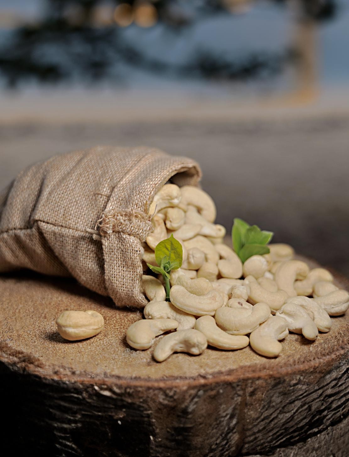 Budgeted Cashews
